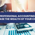 How Professional Accounting Helps To Increase The Wealth Of Your Company?