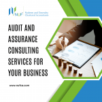 Audit and Assurance Consulting Services